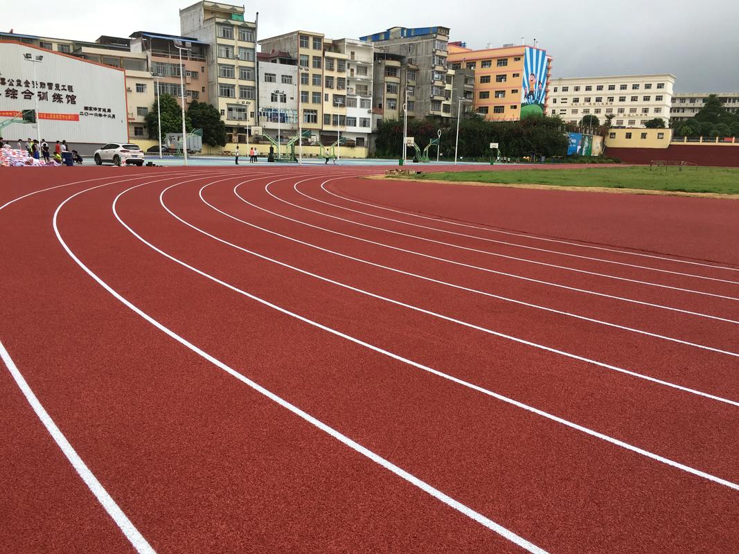 衢州市EPDM颗粒塑胶跑道材料 - 厂家